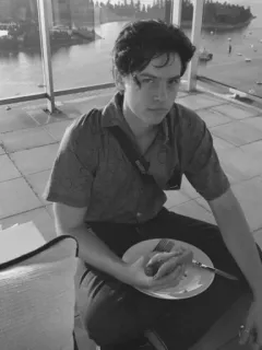 🖇 0446d46c Cole Sprouse Коул Спроус, Актер, Черно-белый, Портрет, Знаменитость whatsapp sticker