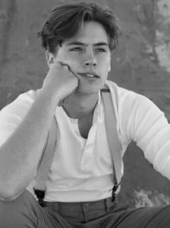 🖇 2dbaef75 мужчина, портрет, чёрно-белое, актёр, молодой человек, винтаж whatsapp sticker