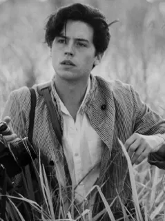 🖇 d26c4fed whatsapp sticker