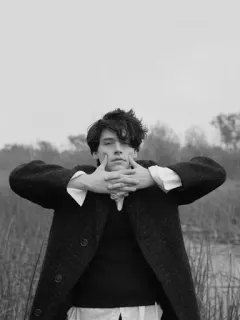 🖇 d8d025a6 whatsapp sticker