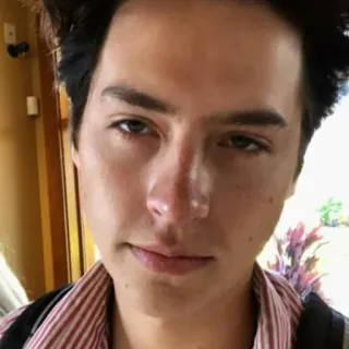 ❄️ 21944c54 telegram sticker