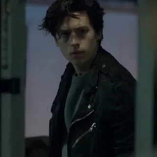 🌨 3d312a7f Jughead Jones Riverdale adolescente, drama, série, ator, jaqueta telegram sticker