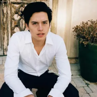 ❄️ 81fadd82 Cole Sprouse ator, retrato, celebridade, homem, camisa branca telegram sticker