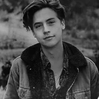 🗽 3e49c1a5 Cole Sprouse cole sprouse, attore, bianco e nero, ritratto, uomo telegram sticker