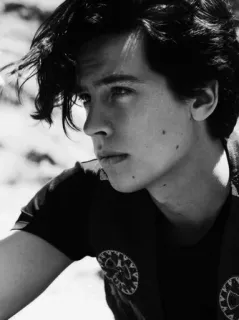 ⚓️ 8c0a4ed9 Cole Sprouse attore, ritratto, uomo, bianco e nero telegram sticker