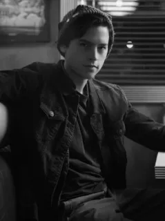 ⚓️ 9814ca1c Jughead Jones Riverdale adolescente, serie TV, personaggio, ragazzo, attore telegram sticker