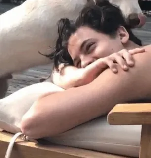 ✨ 0684be20 telegram sticker