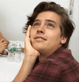 ✨ 6ad511bd Cole Sprouse actor, retrato, celebridad, hombre, Cole Sprouse telegram sticker