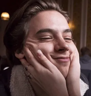 ✨ 8d087e37 persona, retrato, cara, sonrisa, expresión, manos, interior, adulto joven telegram sticker