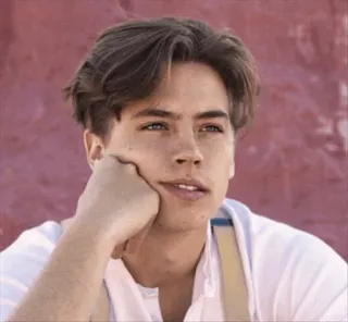 ✨ b7d40213 hombre, retrato, pelo castaño, casual, persona telegram sticker