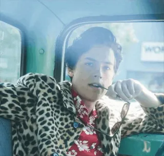 ✨ ca33e2f6 telegram sticker