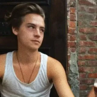 🍁 09fd55a9 telegram sticker