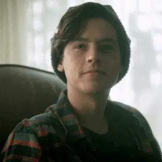 ➖ cd2b8dad Jughead Jones Riverdale Jughead, Riverdale, Serial dla młodzieży, Serial TV, Cole Sprouse telegram sticker