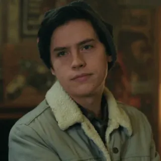➖ f75283b7 Jughead Jones Riverdale serial TV, dramat młodzieżowy, Riverdale, Jughead, Cole Sprouse telegram sticker