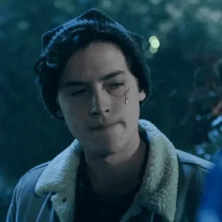 ➖ f7655891 Jughead Jones Riverdale nastolatek, dramat, Jughead, Riverdale, aktor, Cole Sprouse telegram sticker