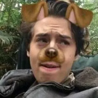 'ColeSprouse'🗝 @KrstenStewart telegram stickers