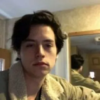 🗝 9a918781 Cole Sprouse attore, celebrità, ritratto, uomo, persona telegram sticker