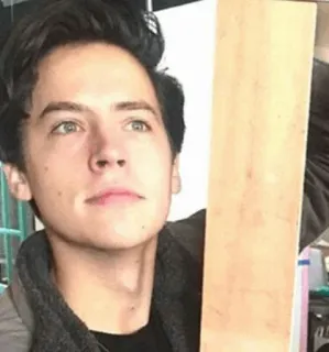 😐 1e77088e Cole Sprouse acteur, portret, beroemdheid, man, Cole Sprouse telegram sticker