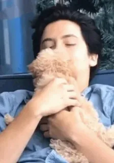 😘 55732fa0 man, hond, puppy, schattig, huisdier, genegenheid telegram sticker