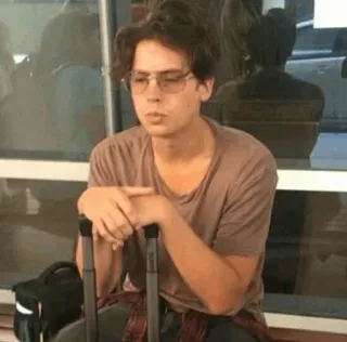 😌 8e996ffd Cole Sprouse acteur, beroemdheid, reizen, luchthaven, bagage telegram sticker