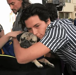 😘 c5e5e671 man, mopshond, hond, gestreept shirt, knuffel, affectie, dier telegram sticker