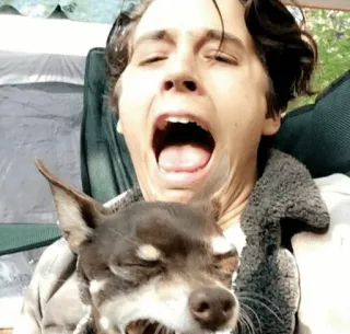 🙀 f14f9315 telegram sticker