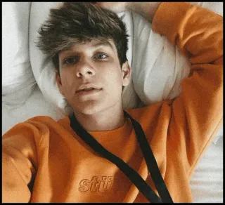 🐾 2423199f telegram sticker