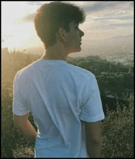 🐾 287ca49d telegram sticker