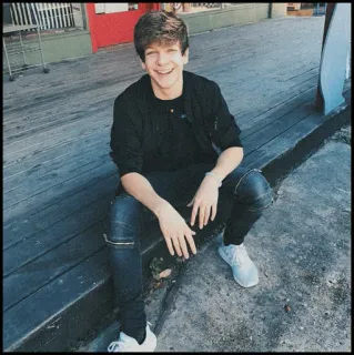 🐾 40932817 telegram sticker