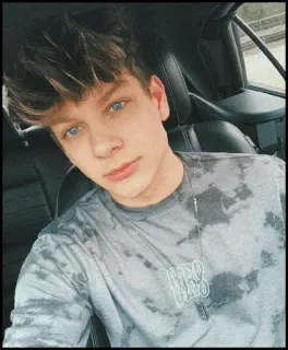 🐾 68351830 telegram sticker