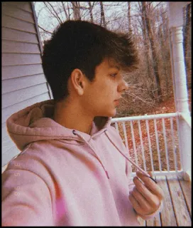 🎼 77771bfd telegram sticker