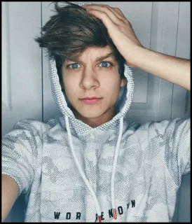 🐾 8668dffa WOR LENOYN ragazzo, teenager, selfie, felpa con cappuccio, ritratto, giovane telegram sticker