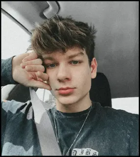 🎼 8a85555c telegram sticker