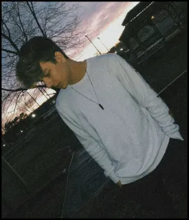 🐾 95652616 telegram sticker