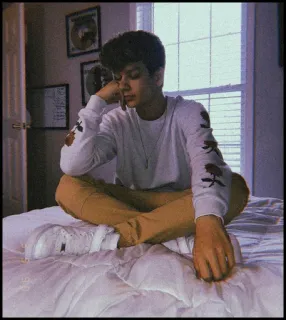 🐾 9cf3bdfc telegram sticker