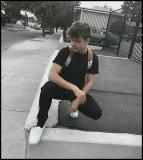 🐾 a3fb9234 telegram sticker