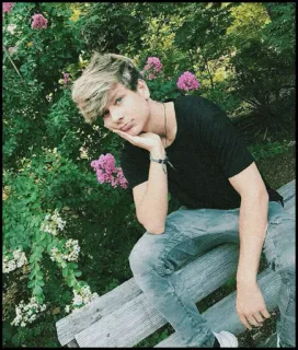 🐾 b8898f6c ragazzo, fiori, adolescente, seduto, giardino telegram sticker