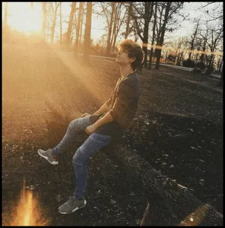 🎼 e0b601b1 telegram sticker