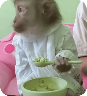 🪸 0289367a микропульс singe, animal, manger, mignon, déguisé telegram sticker