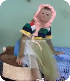 🪸 104a9b87 микропупс singe, déguisé, mignon, animal, costume, amusant telegram sticker