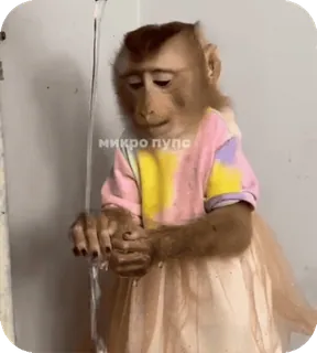 🪸 71277fd1 микро пупс singe, animal, mignon, déguisé, tenue telegram sticker