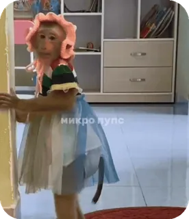 🪸 72b701d4 микро пупс singe, robe, drôle, mignon, animal, humour, mème telegram sticker