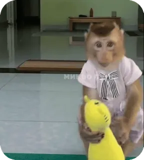 🪸 8c5f9d40 singe, animal, animal de compagnie, mignon, jouet, jaune telegram sticker