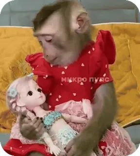 🪸 961f510c микро пуас singe, poupée, animal, mème, mignon, jouet telegram sticker