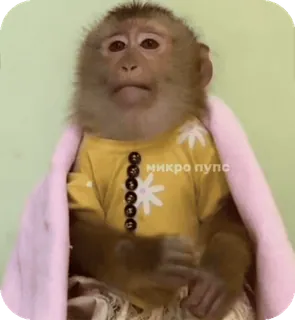 🪸 aab8317e микро пупс singe, animal, vêtement, mignon, drôle telegram sticker