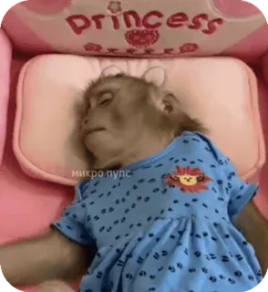 🪸 c57b4705 Princess animal, singe, dormir, princesse, mignon telegram sticker
