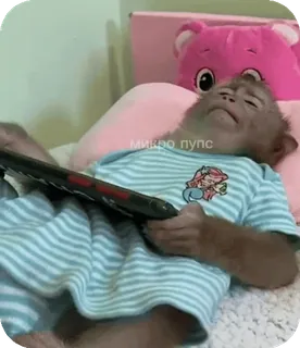 🪸 d6d0a7cd микро пупс singe, animal, mignon, sommeil, dormir telegram sticker