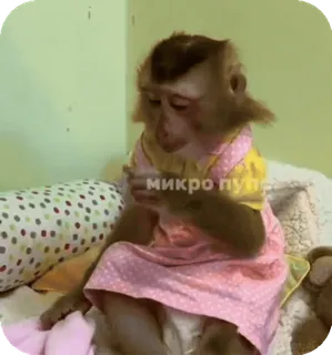 🪸 e607bba5 микро пупс singe, déguisé, animal, mignon, drôle telegram sticker