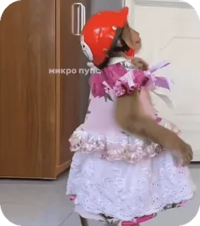 🪸 e65fff8b микро пупс singe, casque, robe, mignon, animal, vêtement telegram sticker