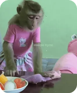 🪸 f03d5394 telegram sticker